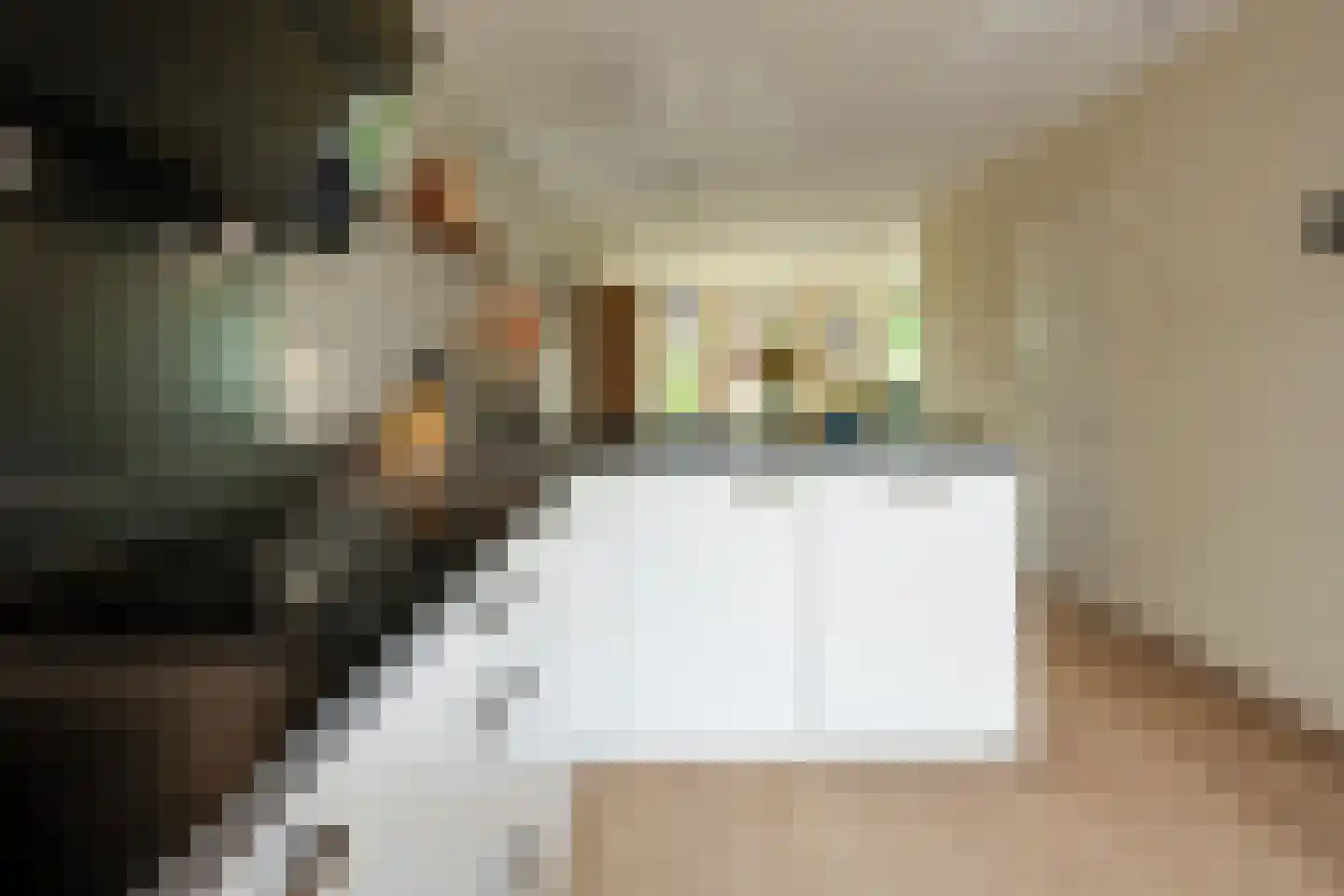 Van Diemenstraat 1 Lutjegast thumbnail 20