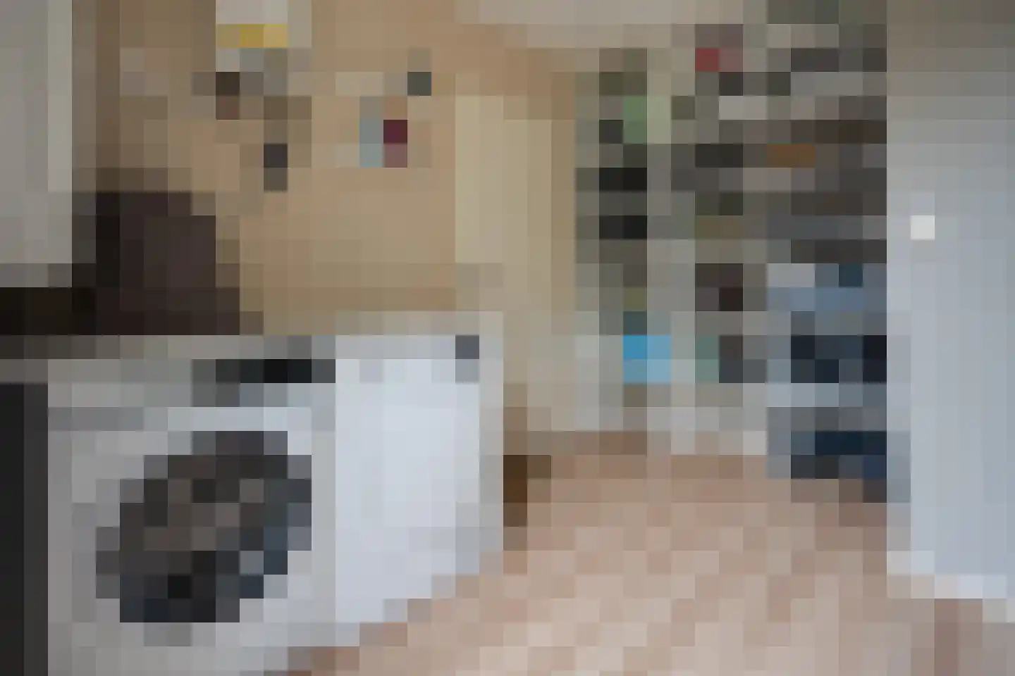 Van Diemenstraat 1 Lutjegast thumbnail 21