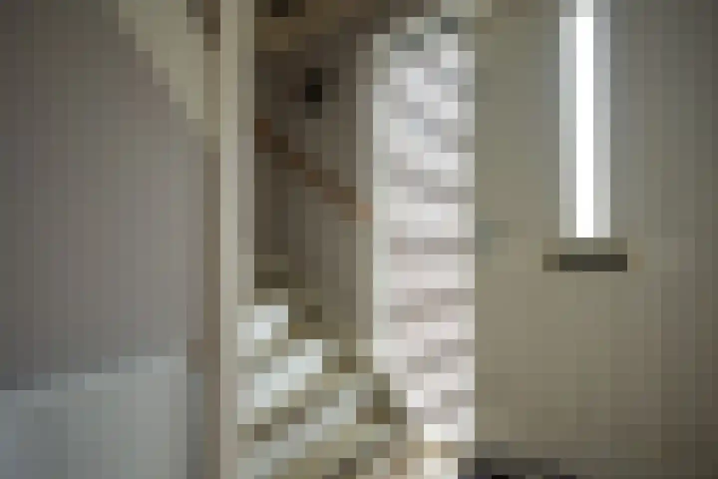 Van Diemenstraat 1 Lutjegast thumbnail 24