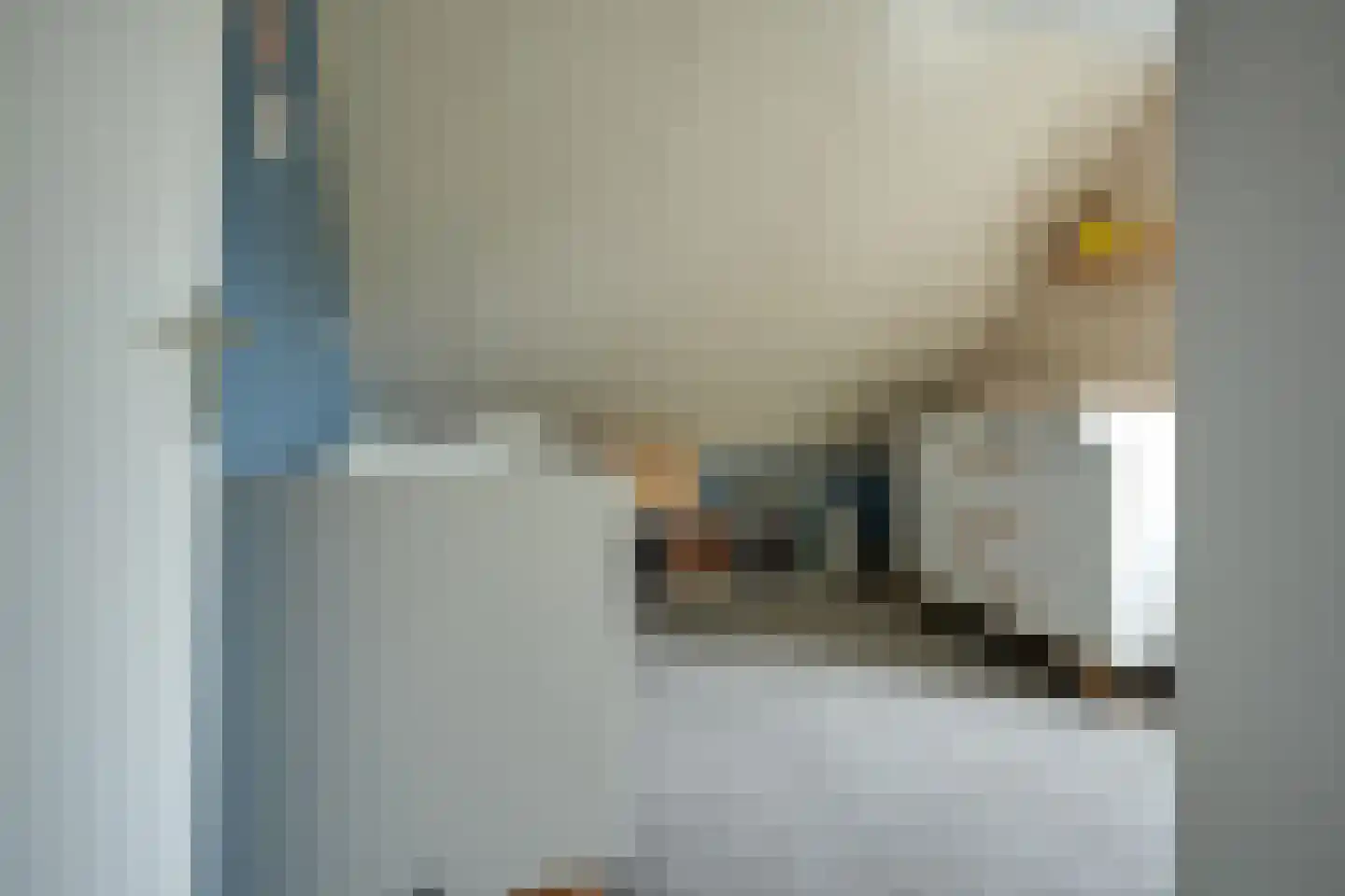 Van Diemenstraat 1 Lutjegast thumbnail 26