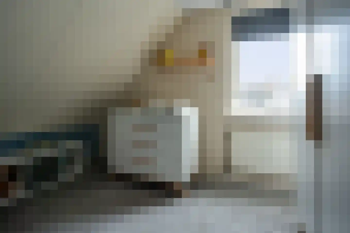 Van Diemenstraat 1 Lutjegast thumbnail 27
