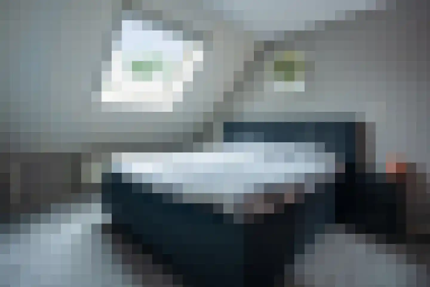 Van Diemenstraat 1 Lutjegast thumbnail 31