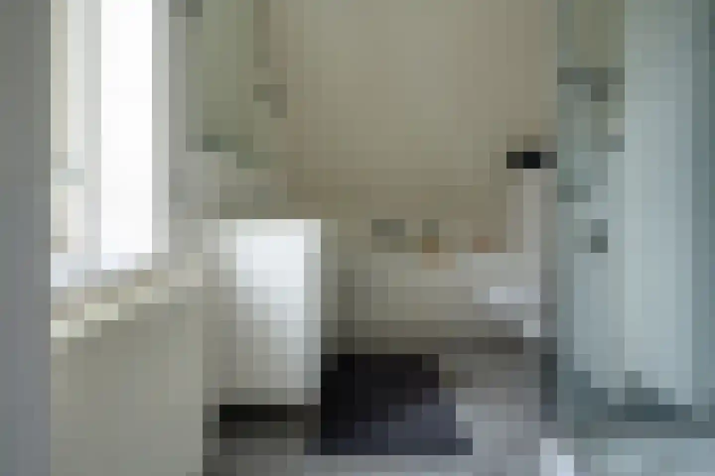 Van Diemenstraat 1 Lutjegast thumbnail 34