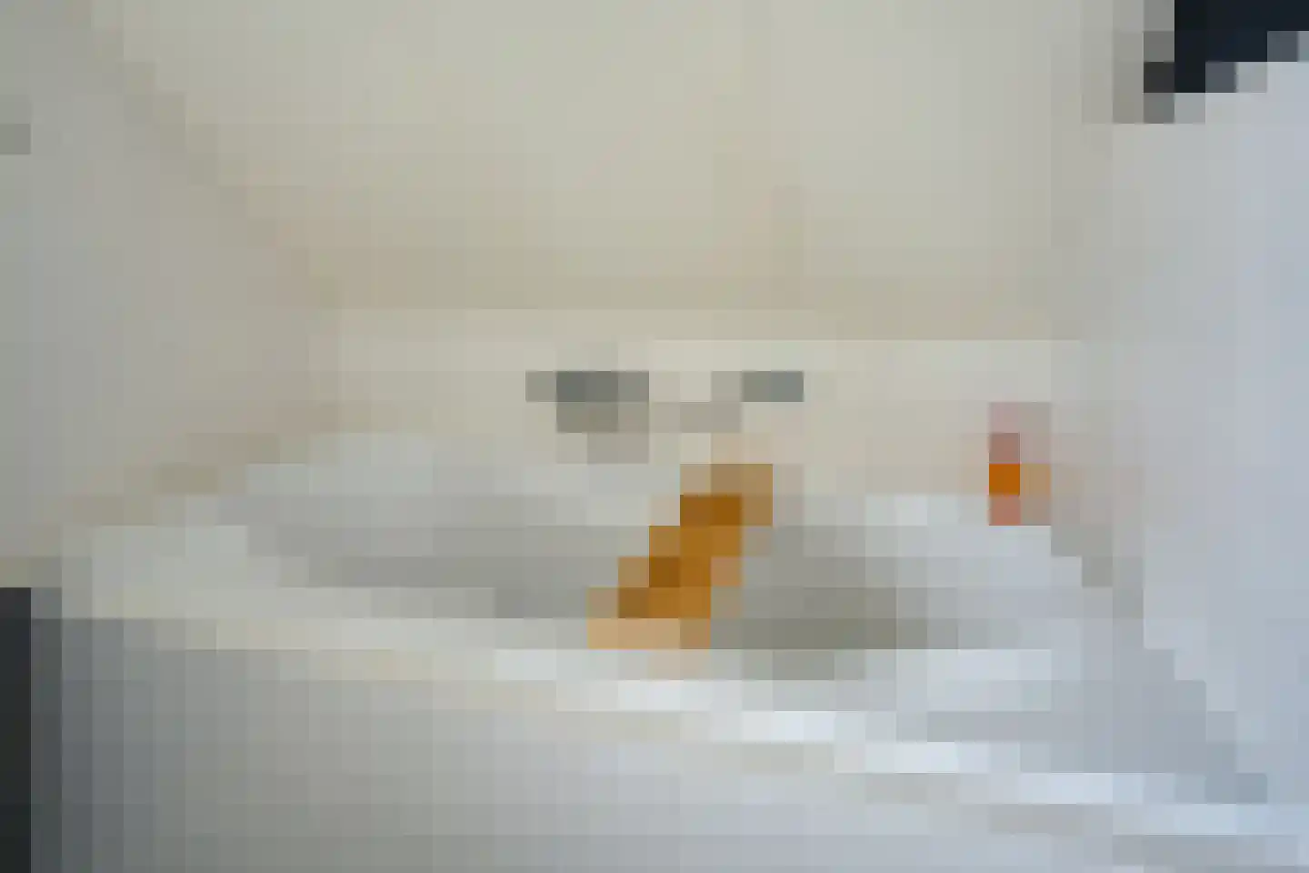 Van Diemenstraat 1 Lutjegast thumbnail 35