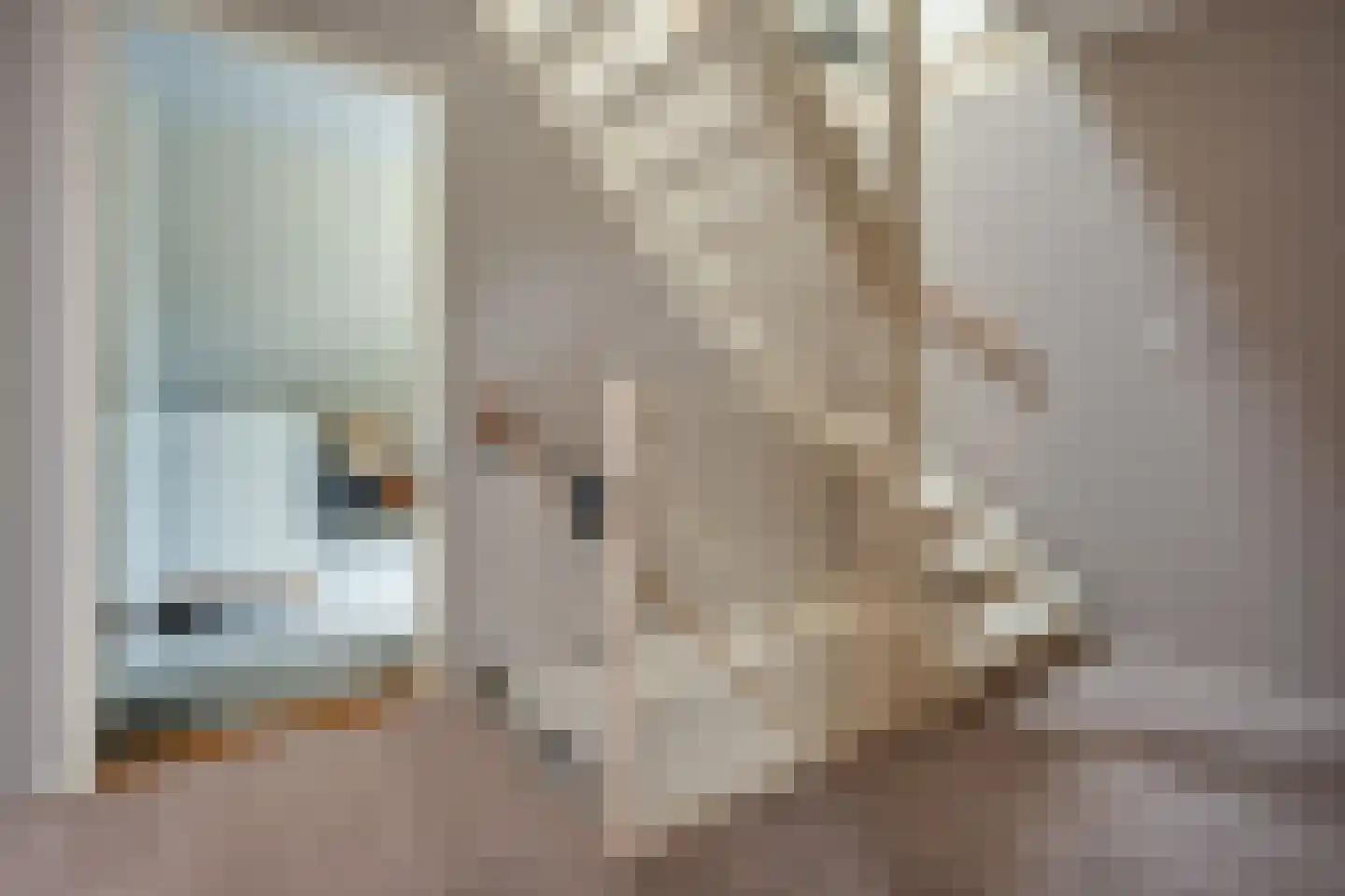 Van Diemenstraat 1 Lutjegast thumbnail 37
