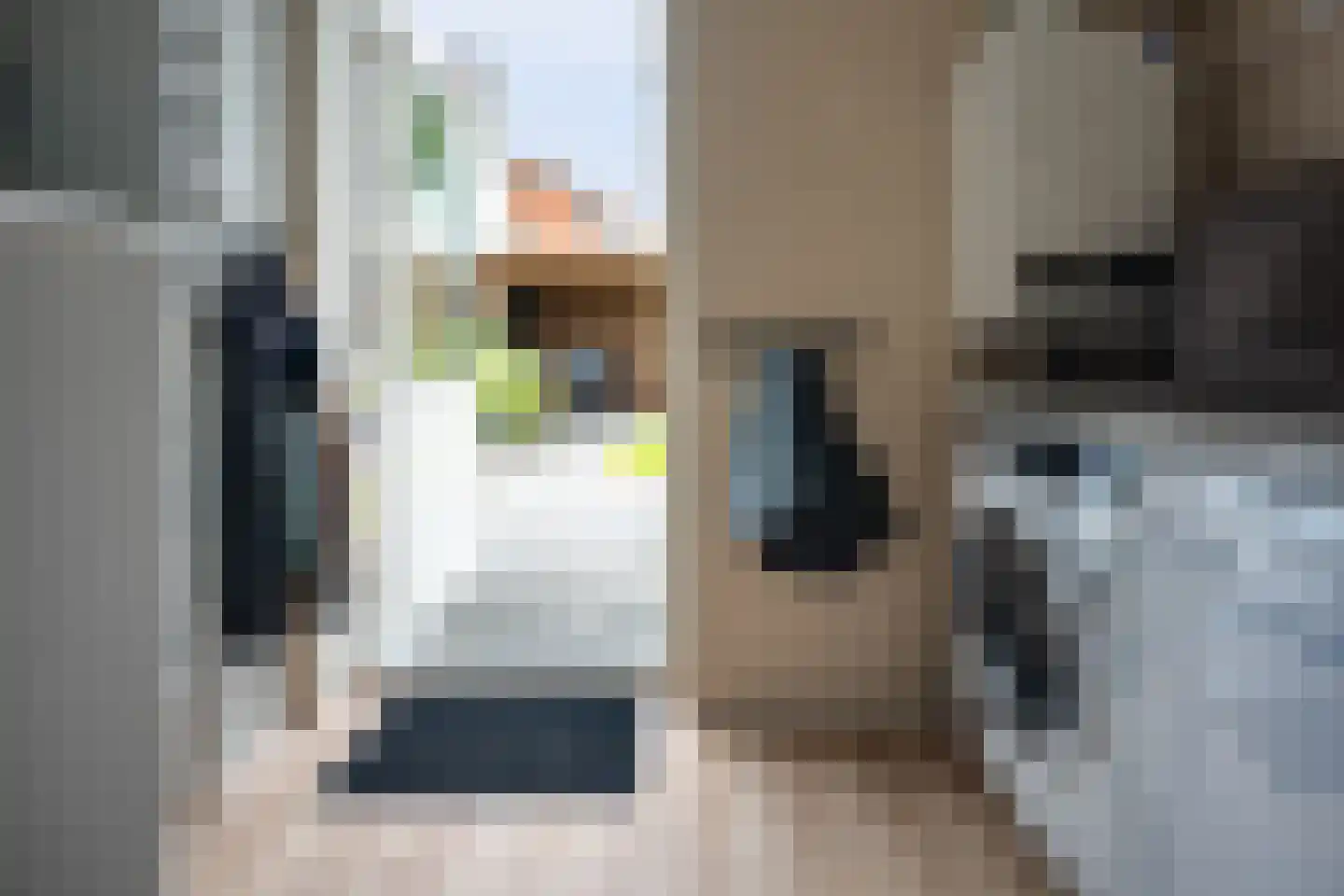 Van Diemenstraat 1 Lutjegast thumbnail 43