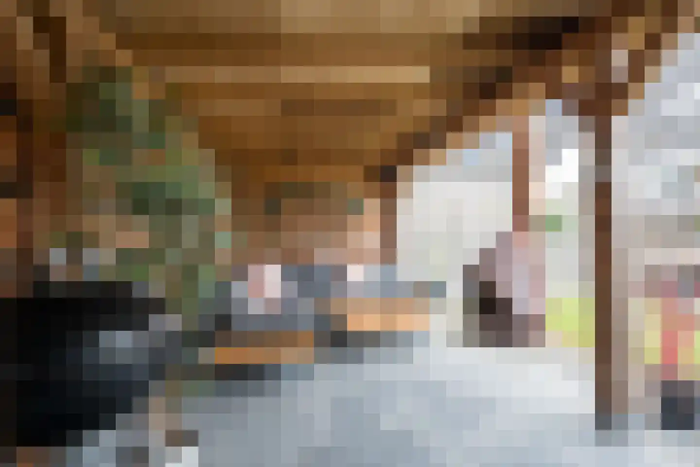 Van Diemenstraat 1 Lutjegast thumbnail 57