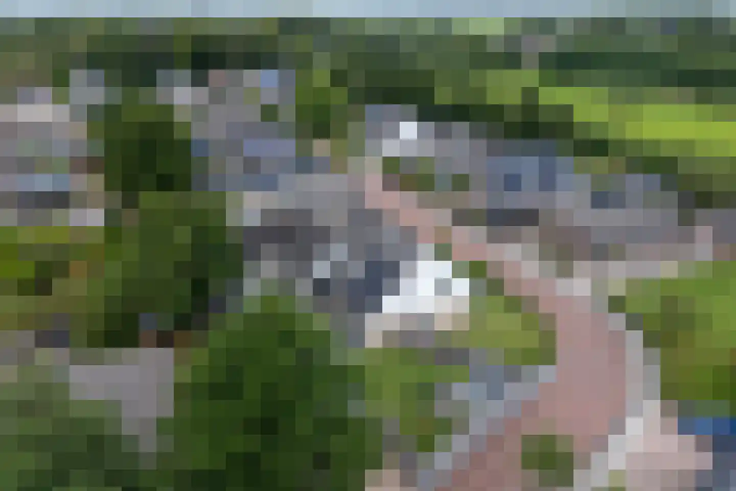 Van Diemenstraat 1 Lutjegast thumbnail 65