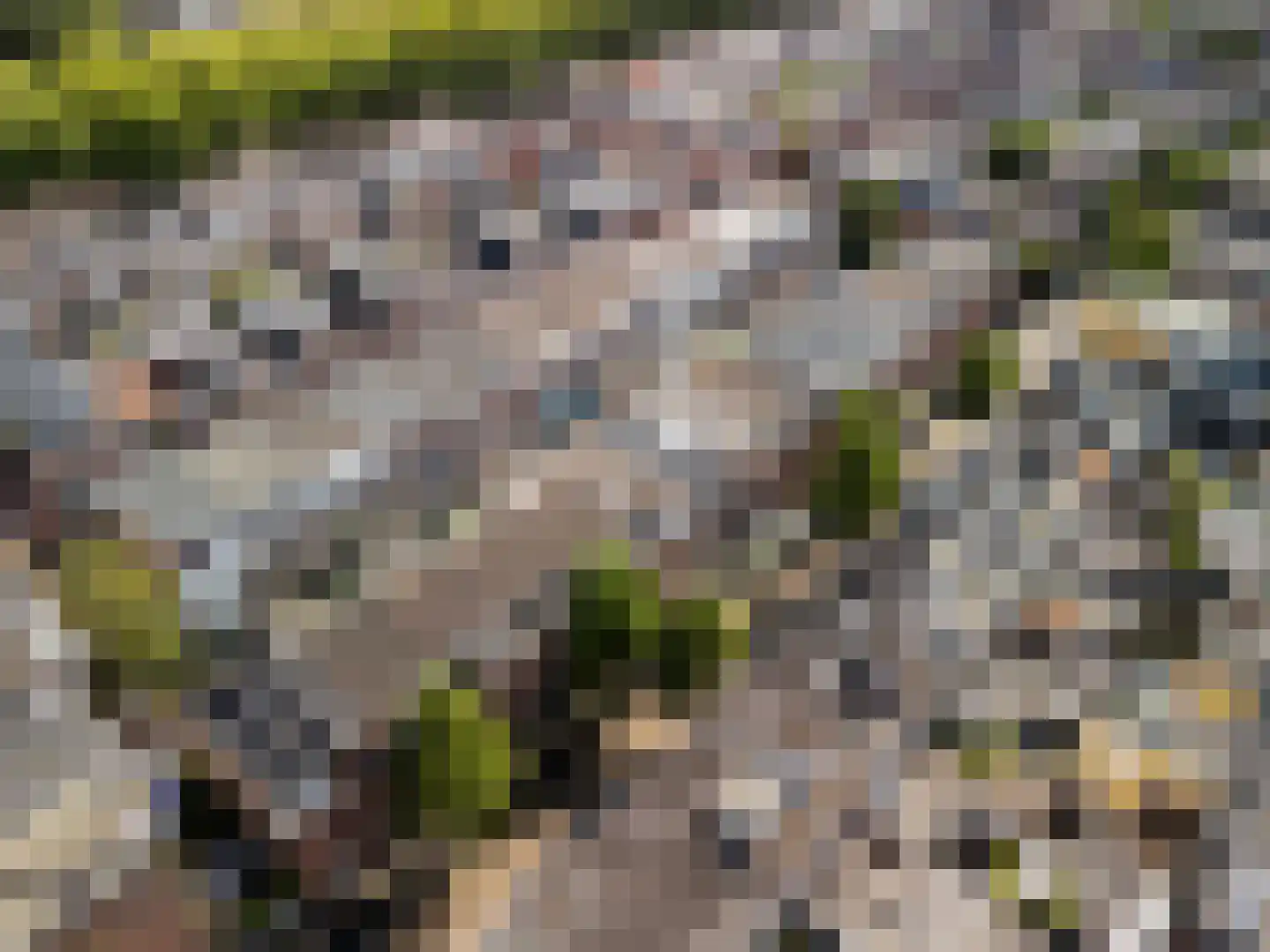 Van Diemenstraat 12 Utrecht thumbnail 22