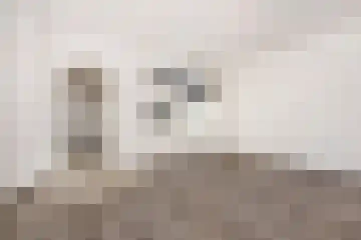 Van Diemenstraat 12 Utrecht thumbnail 4