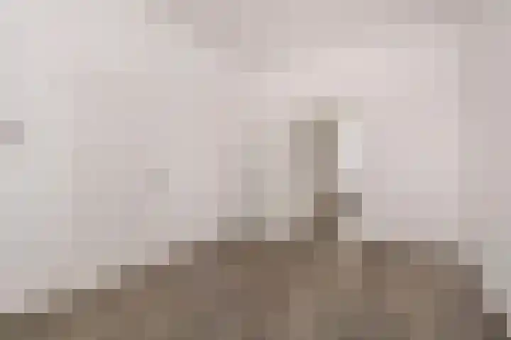 Van Diemenstraat 12 Utrecht thumbnail 9