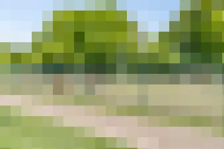 van Diemenstraat 16 Veghel thumbnail 36