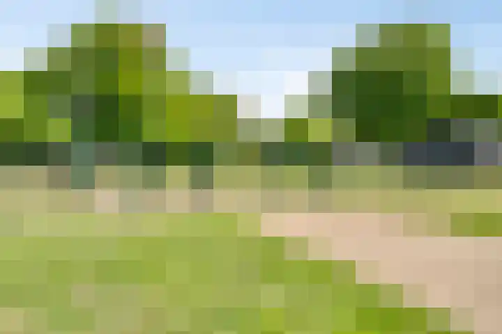 van Diemenstraat 16 Veghel thumbnail 37