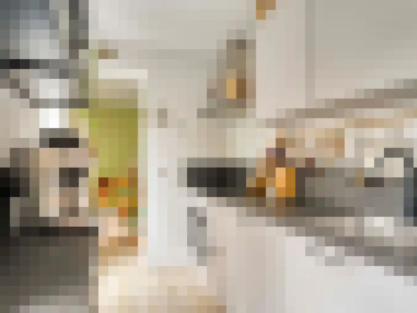 Van Diemenstraat 20 Utrecht thumbnail 11