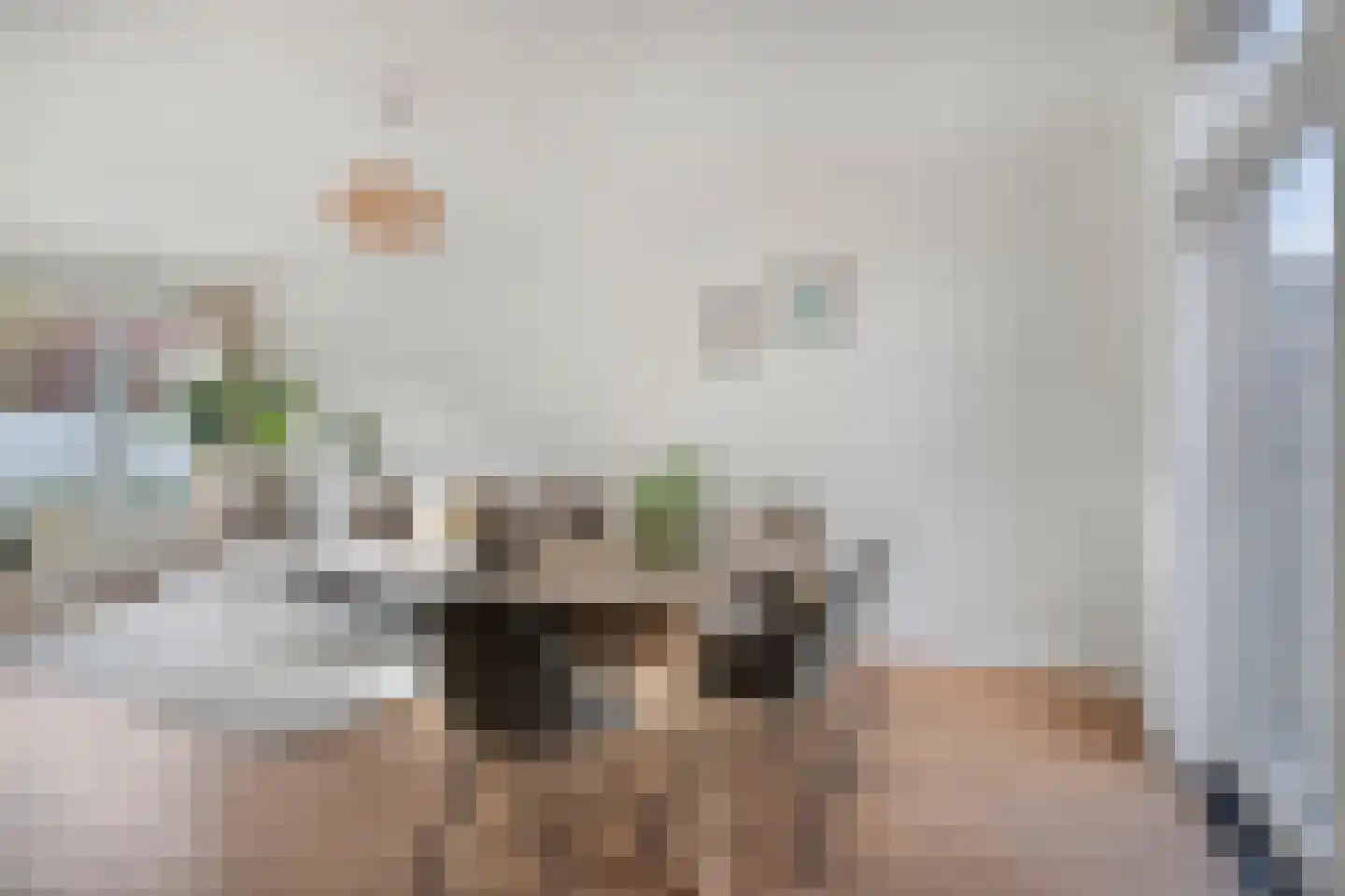 Van Diemenstraat 21 Zwolle thumbnail 10