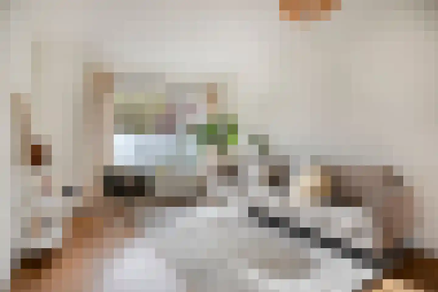Van Diemenstraat 21 Zwolle thumbnail 7