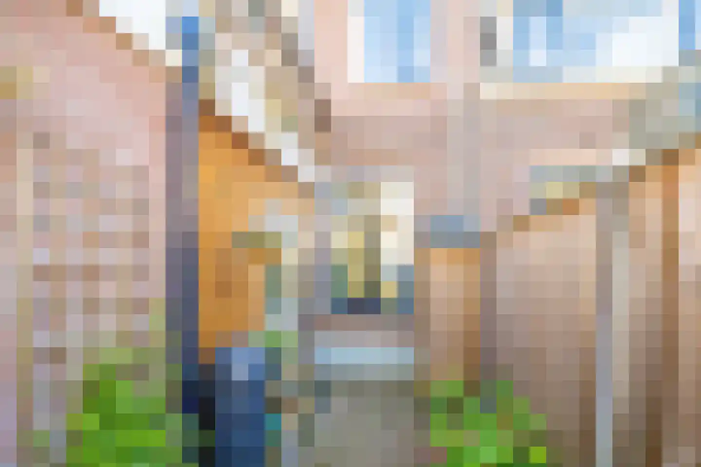 Van Diemenstraat 25 Utrecht thumbnail 15