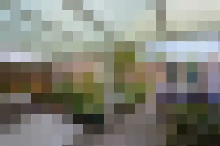 van Diemenstraat 28 Veghel thumbnail 27
