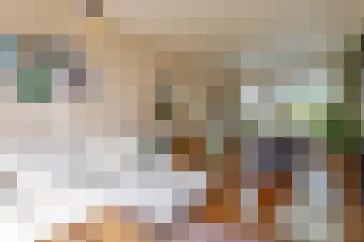van Diemenstraat 28 Veghel thumbnail 5