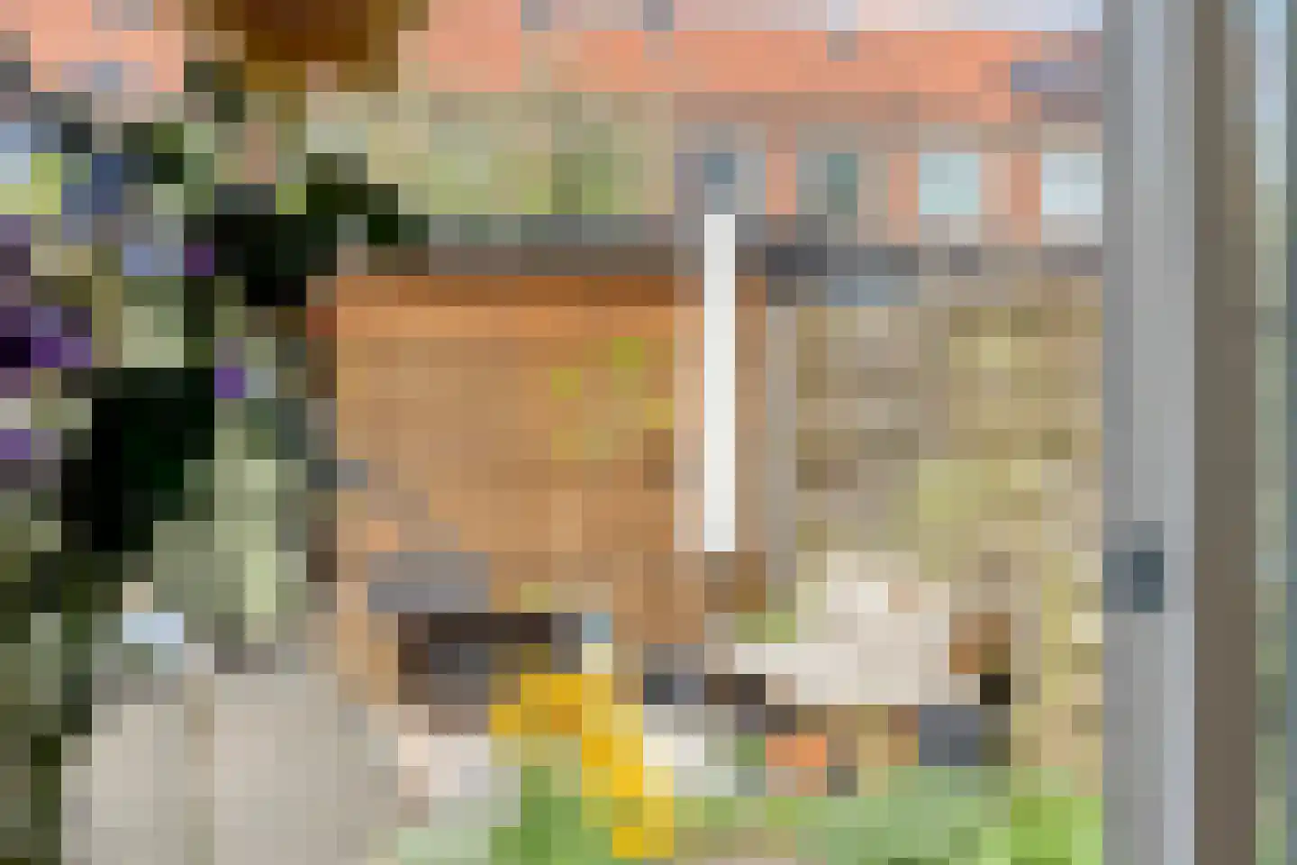 Van Diemenstraat 3 Zwolle thumbnail 20