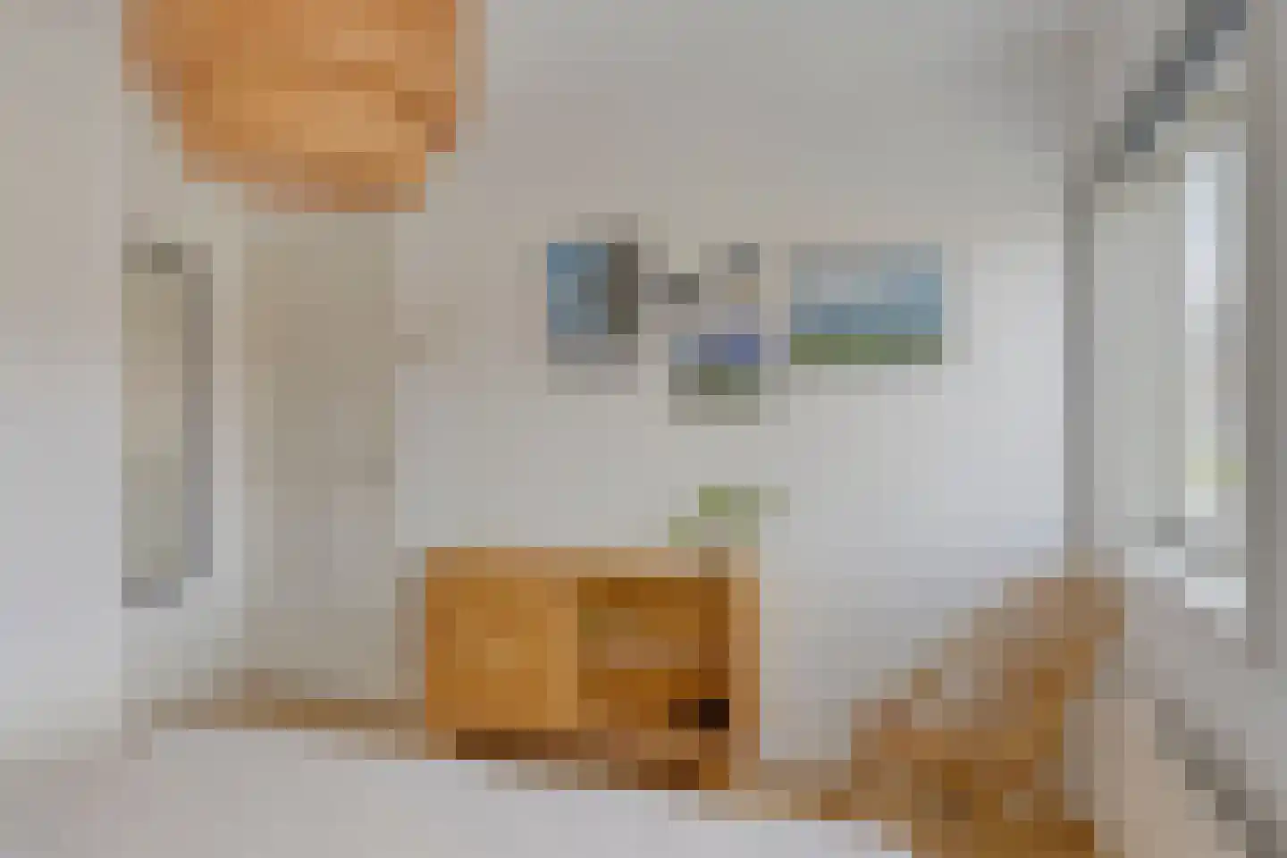 Van Diemenstraat 3 Zwolle thumbnail 24