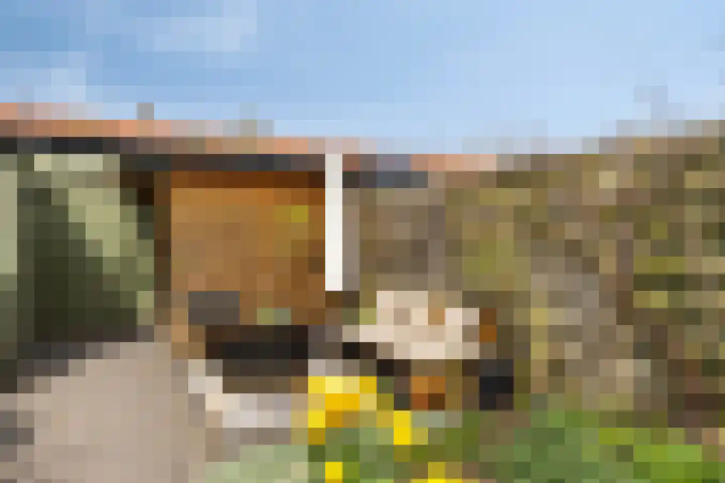 Van Diemenstraat 3 Zwolle thumbnail 35