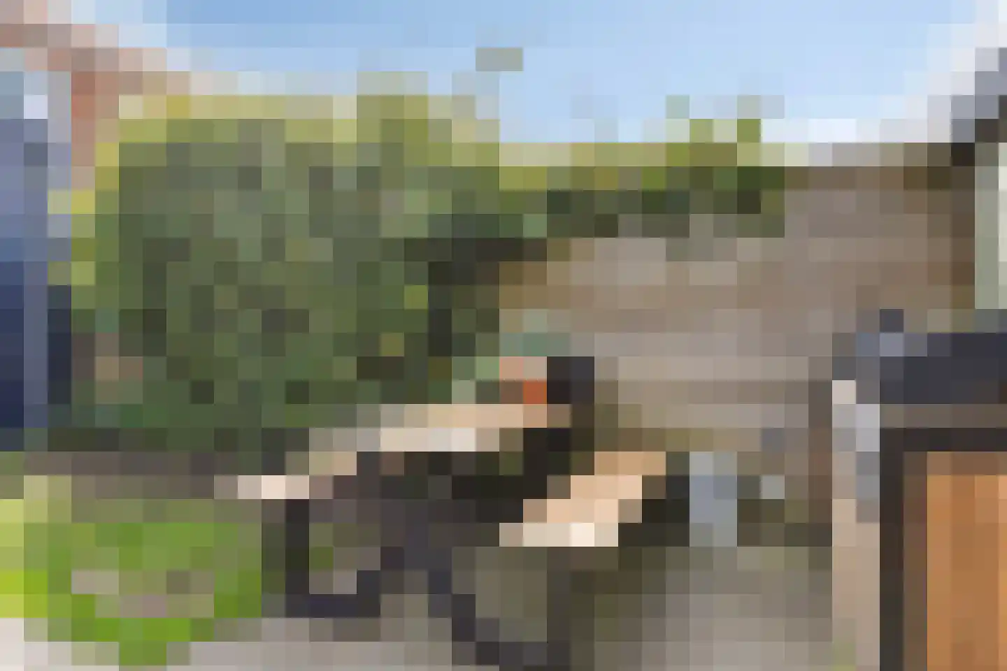 Van Diemenstraat 3 Zwolle thumbnail 36