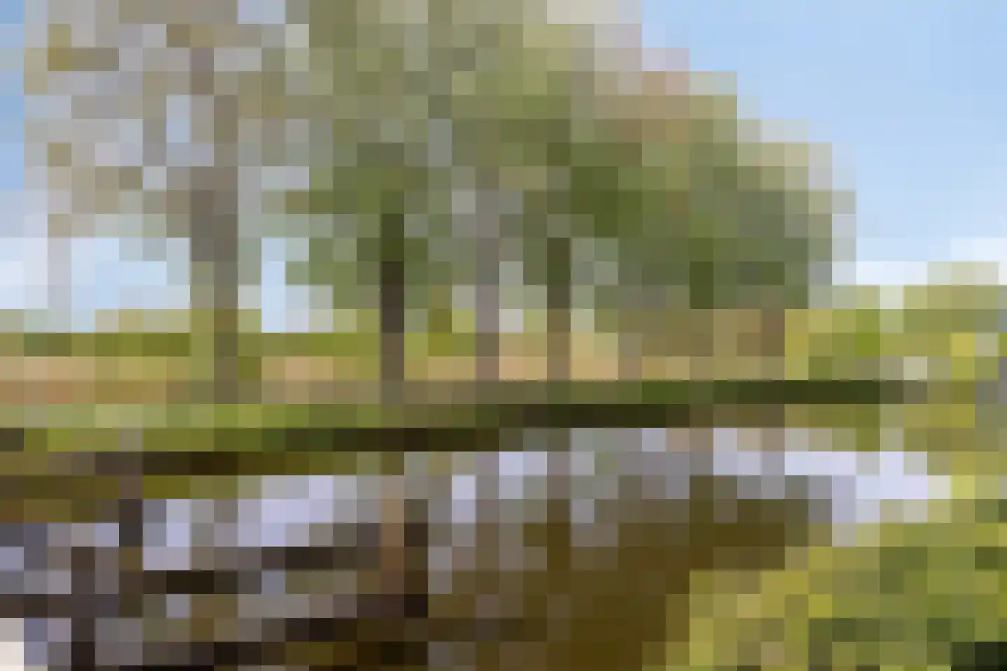 Van Diemenstraat 3 Zwolle thumbnail 41