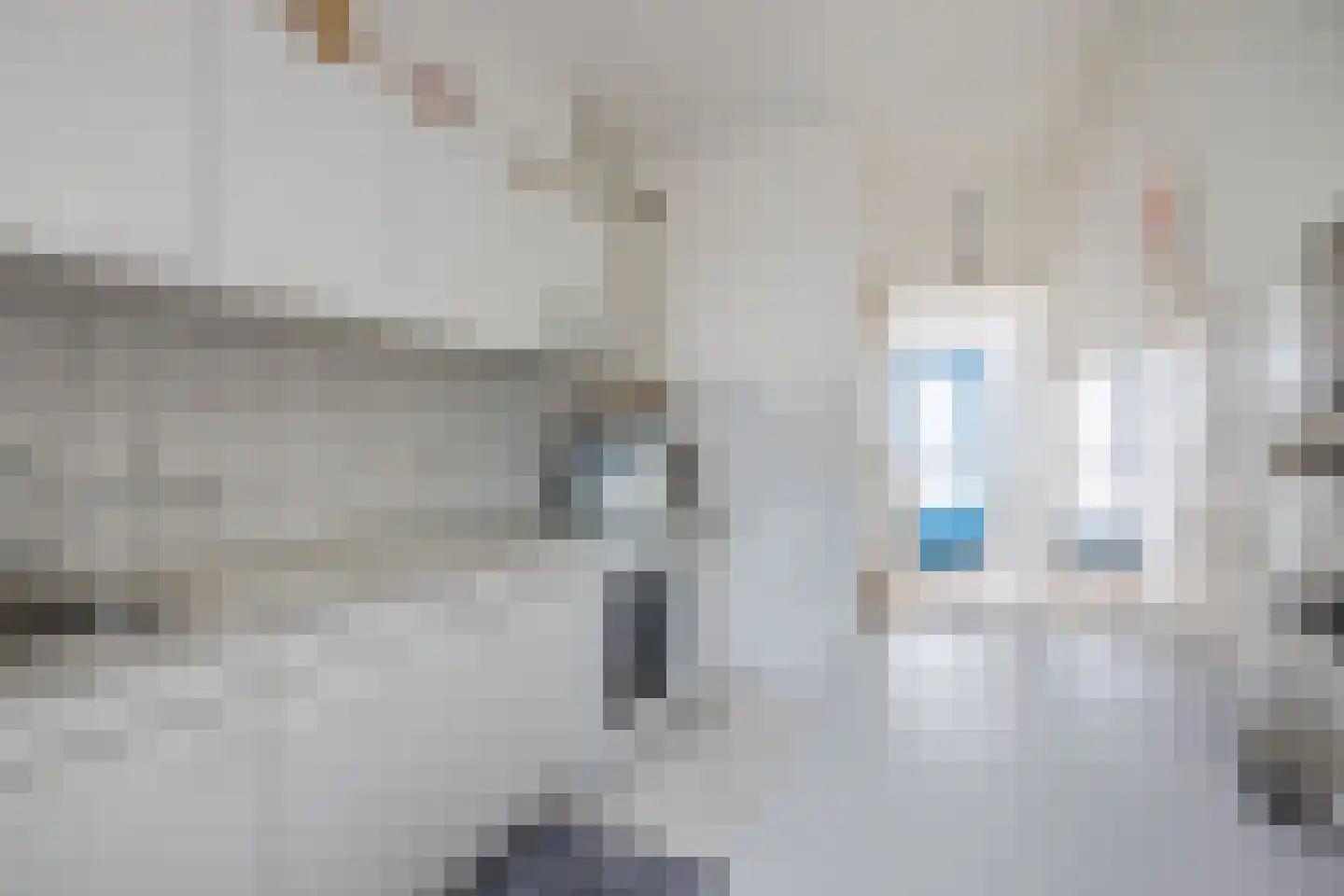 van Diemenstraat 38 Veghel thumbnail 11