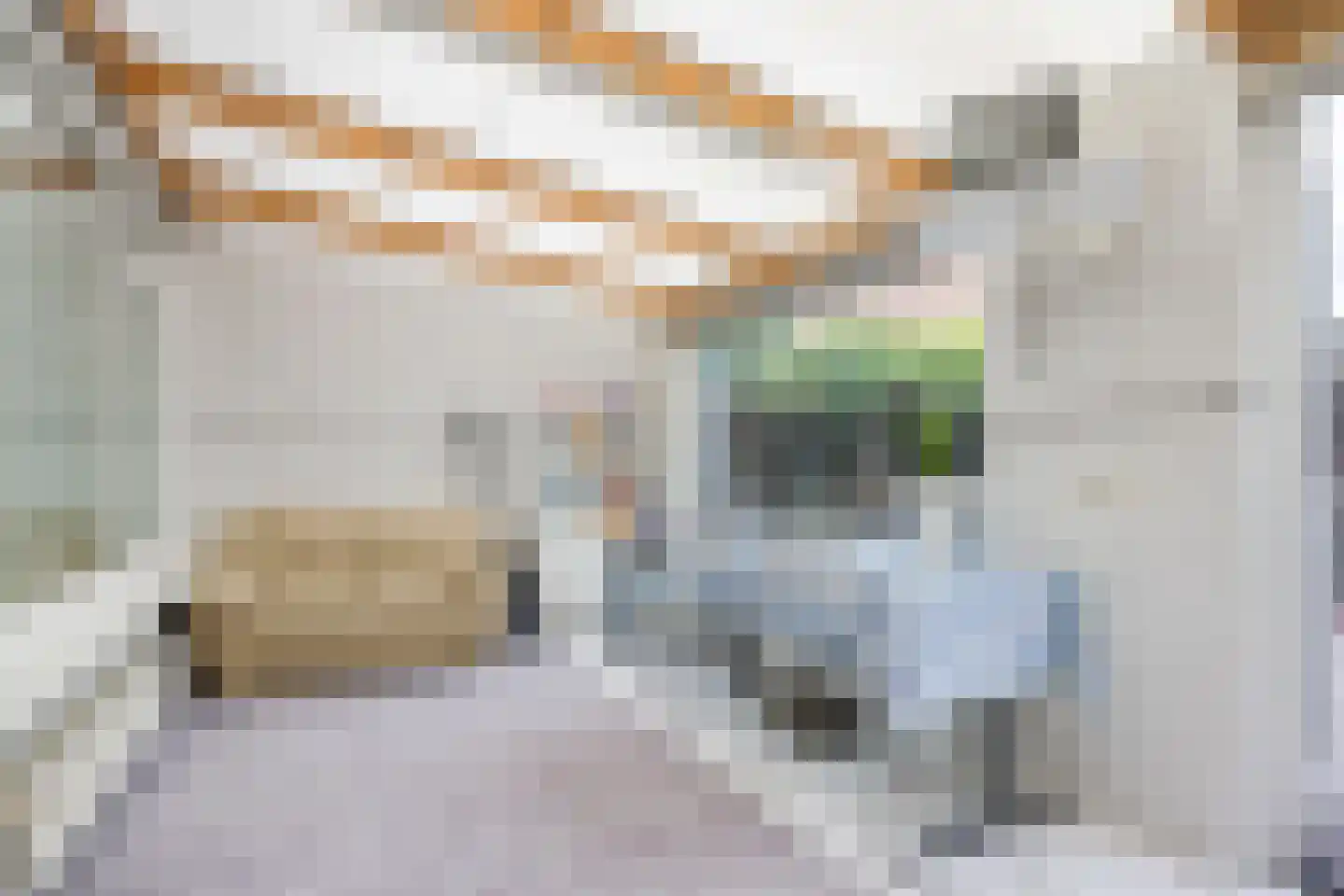 van Diemenstraat 38 Veghel thumbnail 12