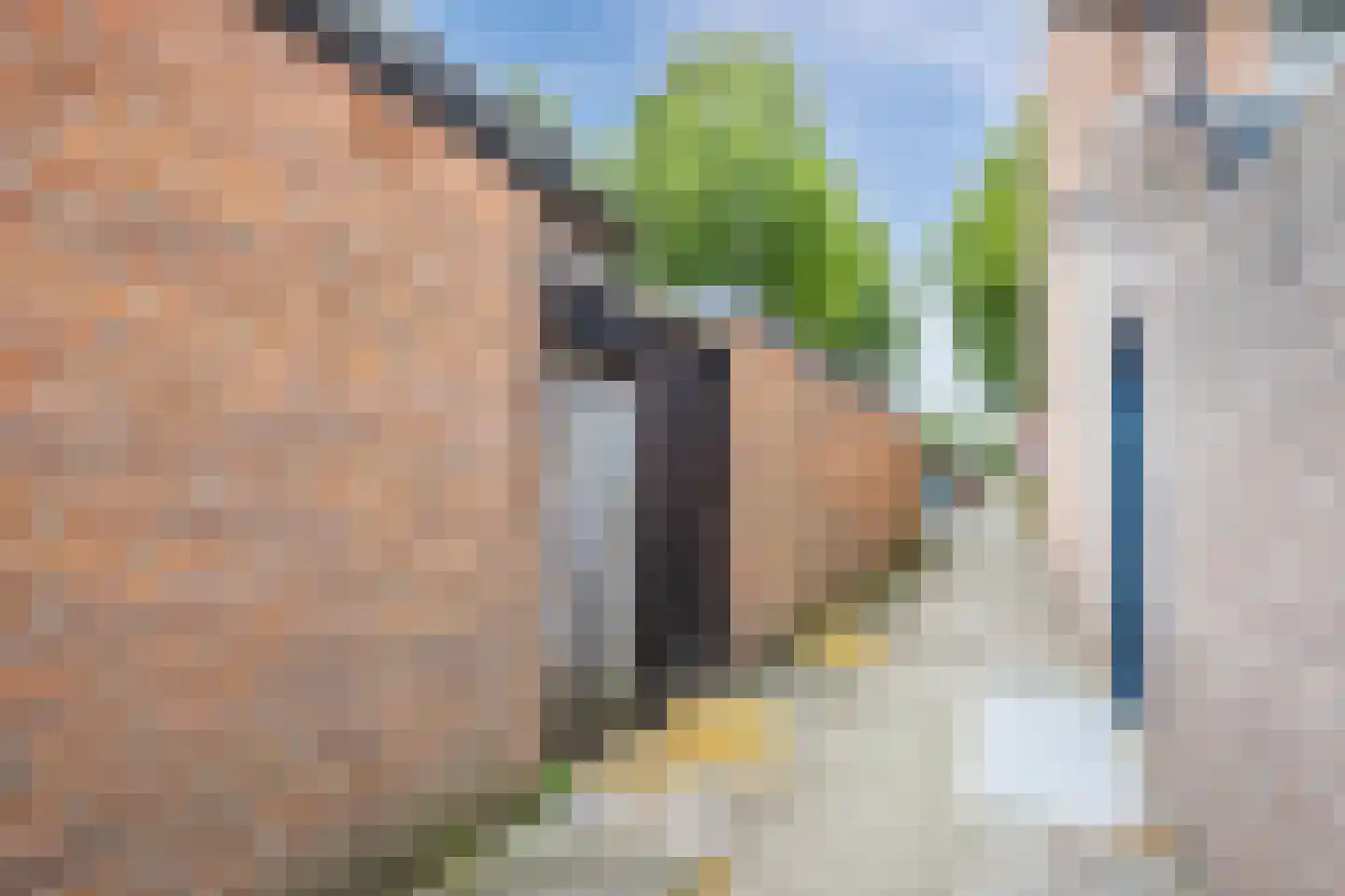 van Diemenstraat 38 Veghel thumbnail 32