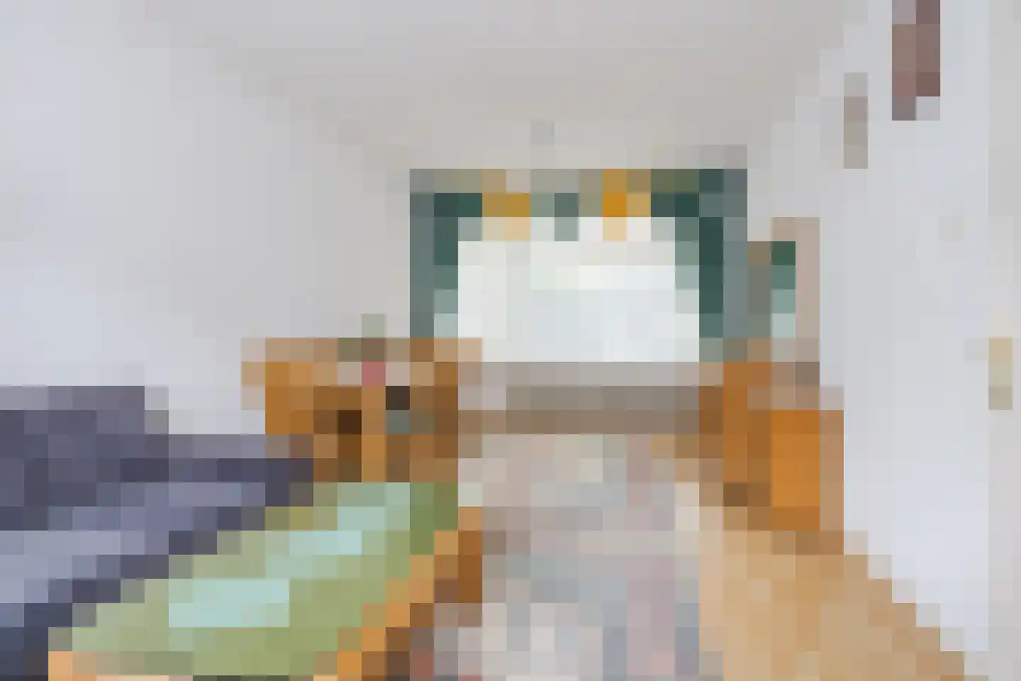 van Diemenstraat 38 Veghel thumbnail 8