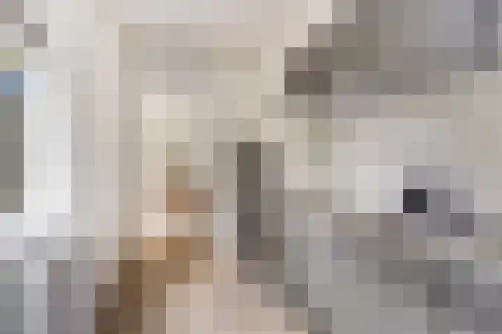 Van Diemenstraat 4 Utrecht thumbnail 14