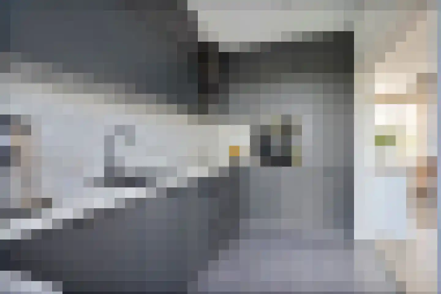 van Diemenstraat 42 Veghel thumbnail 15