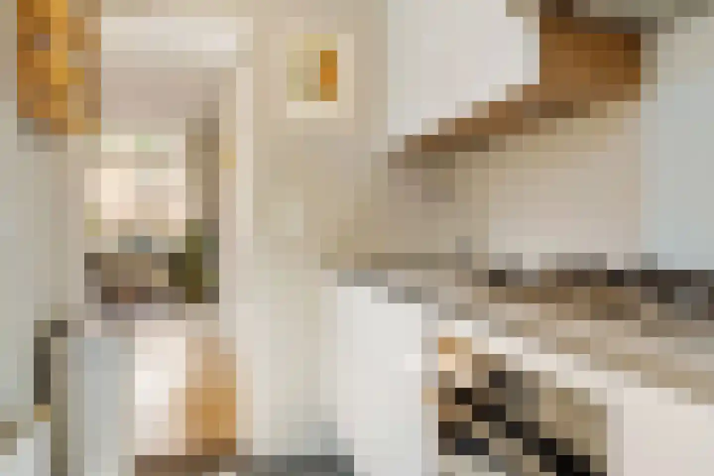 Van Diemenstraat 64 Utrecht thumbnail 11