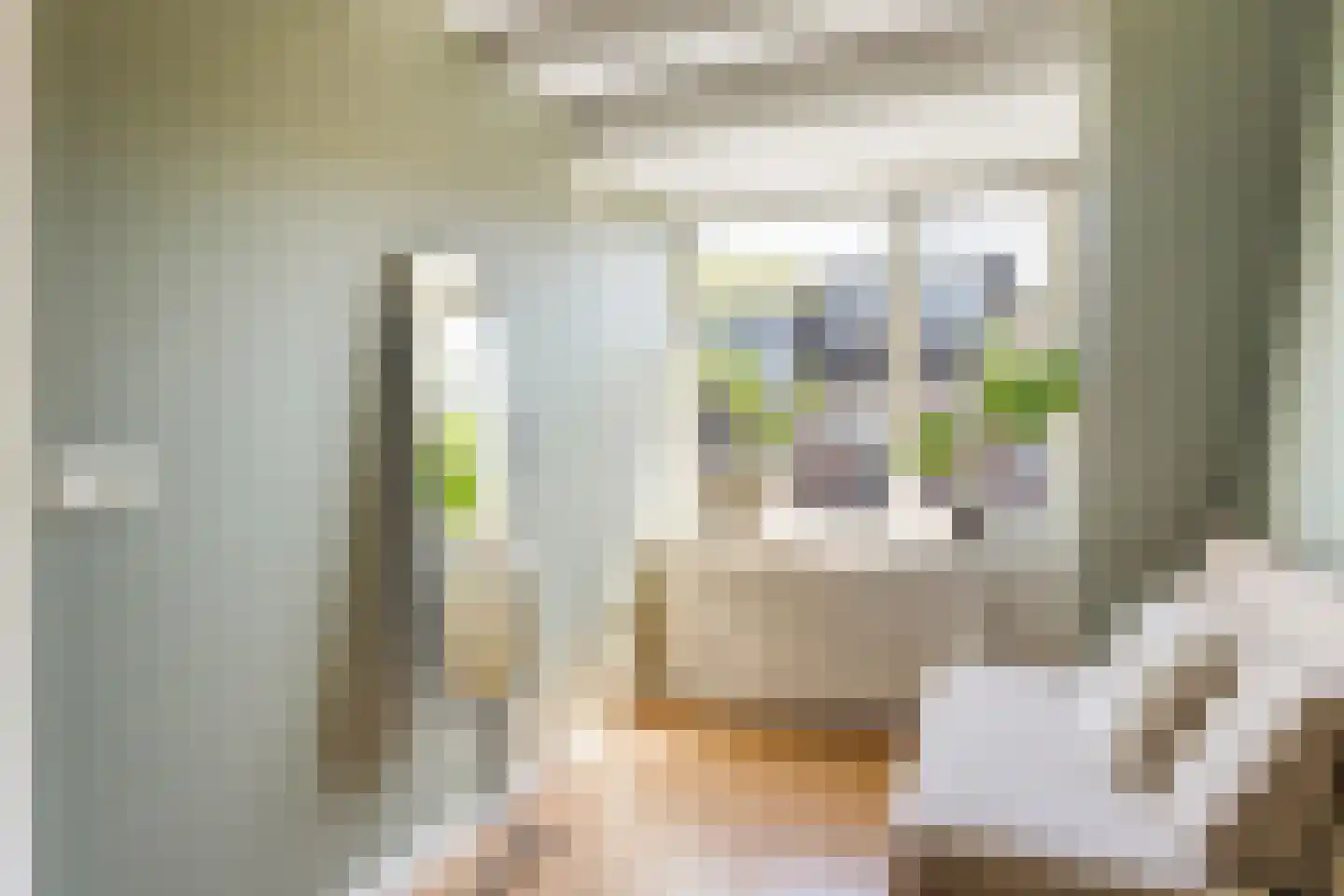 Van Diemenstraat 64 Utrecht thumbnail 20