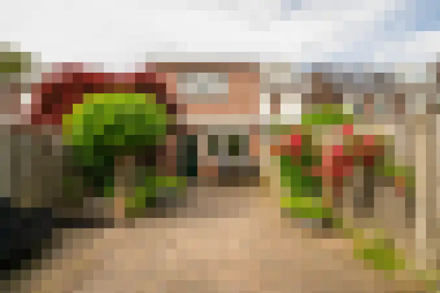 Van Diemenstraat 66 Enschede thumbnail 4