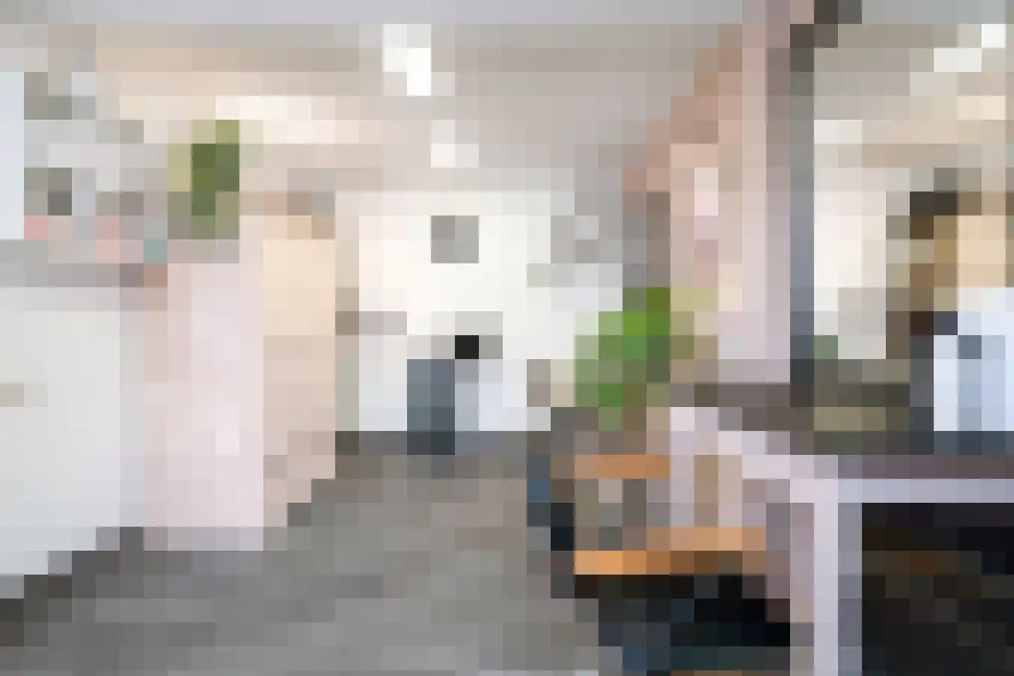 Van Diemenstraat 66 Enschede thumbnail 41