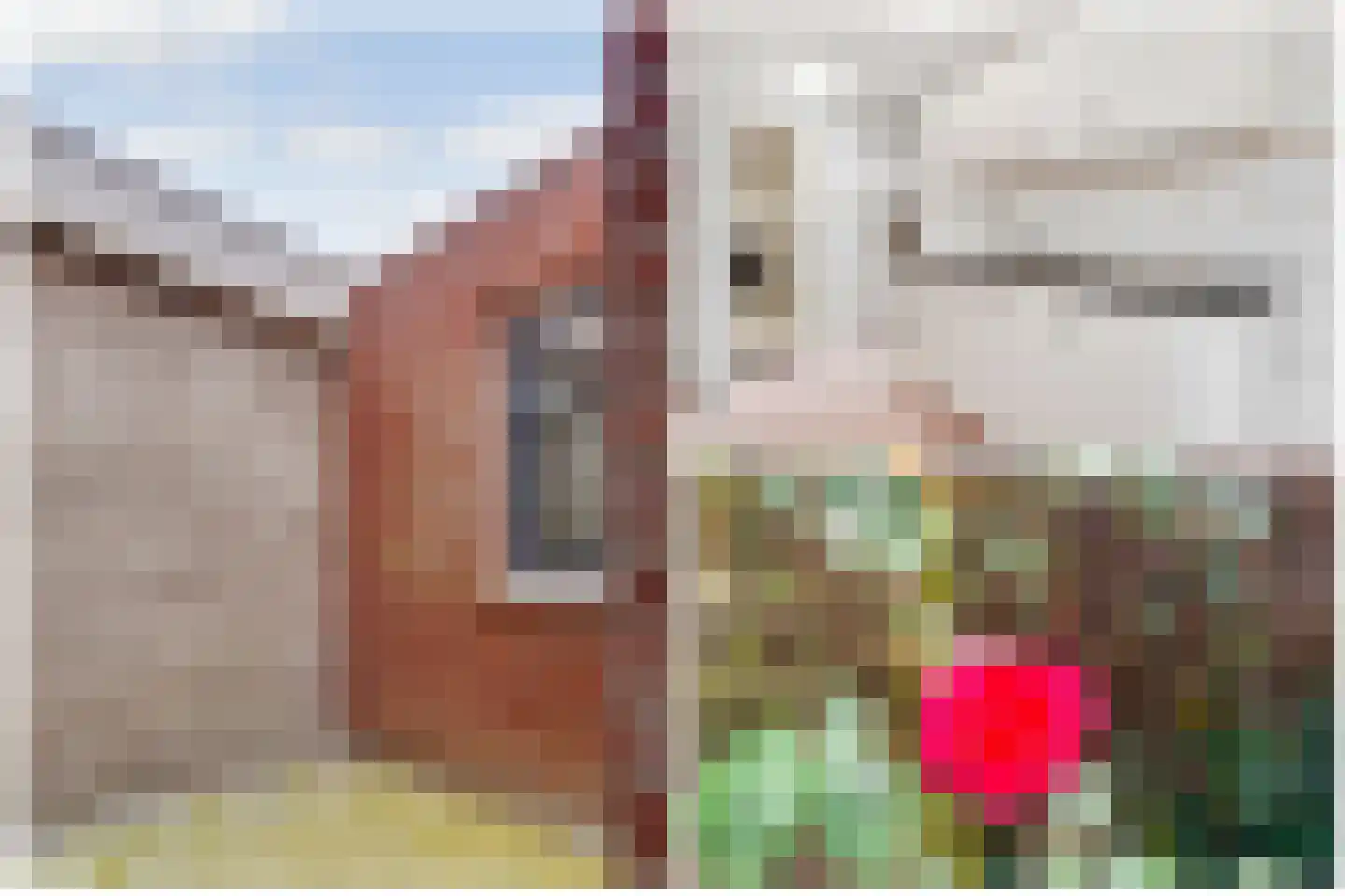 Van Diemenstraat 9 Utrecht thumbnail 20
