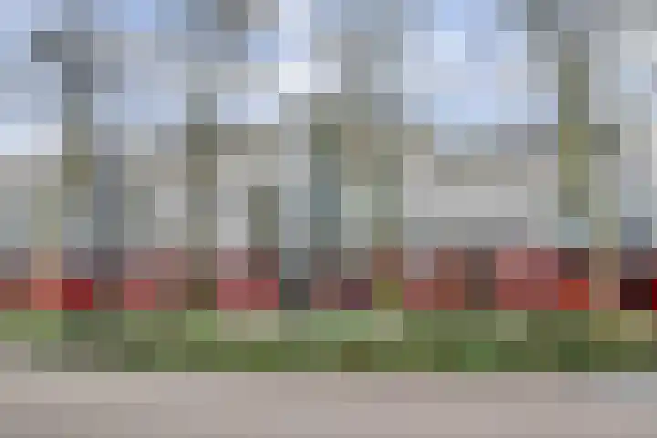 van Diemerbroeckstraat 139 Nijmegen thumbnail 32
