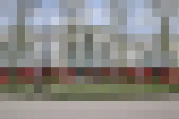 van Diemerbroeckstraat 139 Nijmegen thumbnail 39