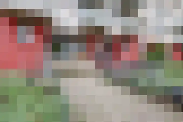 van Diemerbroeckstraat 139 Nijmegen thumbnail 7