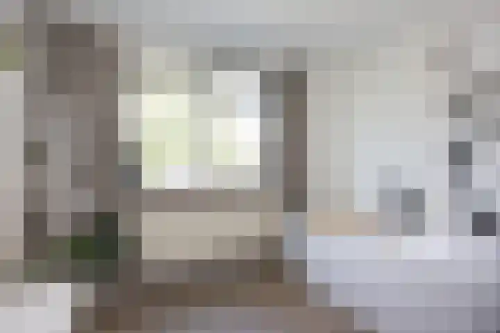 van Diepenbroekstraat 15 Ootmarsum thumbnail 18