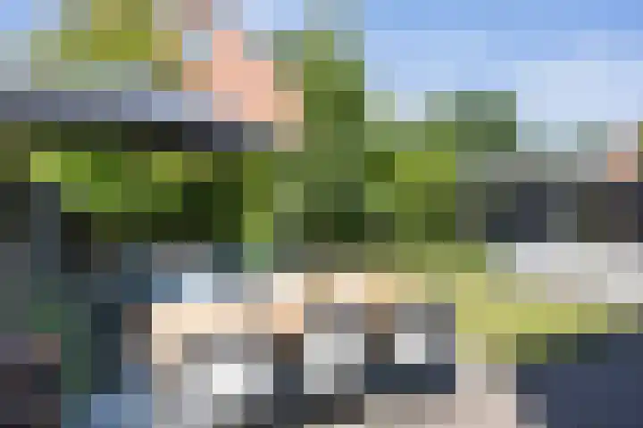 van Diepenbroekstraat 15 Ootmarsum thumbnail 23