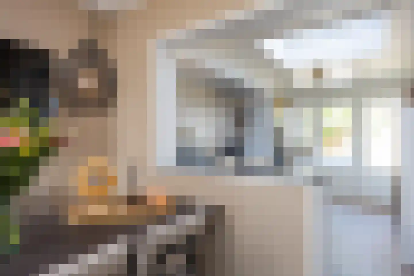 van Diepenbroekstraat 18 Ootmarsum thumbnail 15