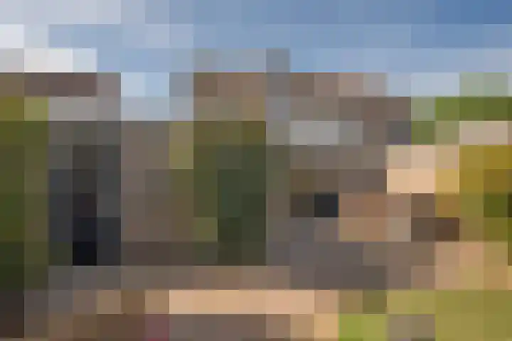 van Diepenbroekstraat 18 Ootmarsum thumbnail 21