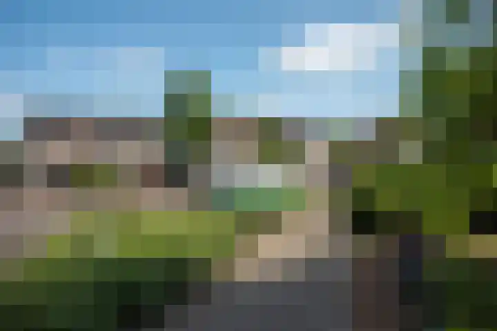 van Diepenbroekstraat 18 Ootmarsum thumbnail 25