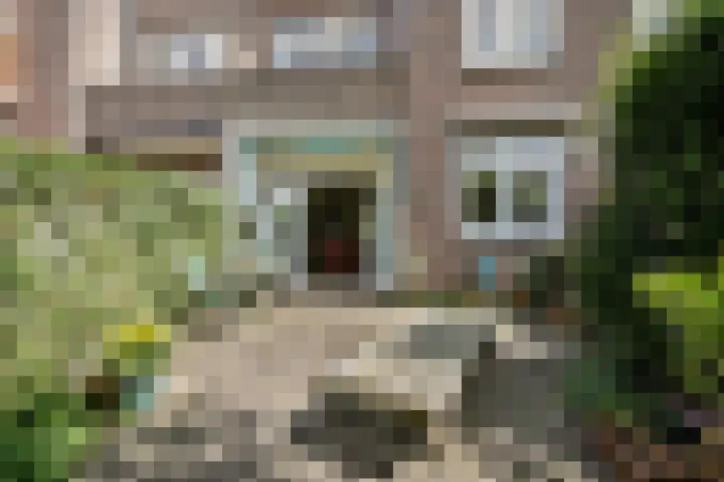 Van Diepenburchstraat 108 Den Haag thumbnail 20