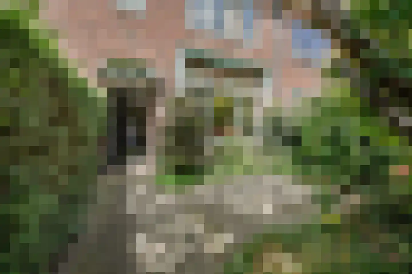 Van Diepenburchstraat 108 Den Haag thumbnail 6