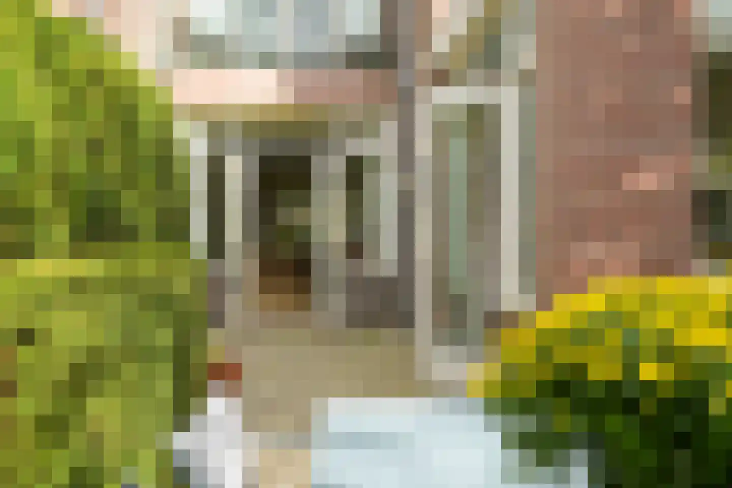 Van Diepenburchstraat 32 Den Haag thumbnail 20